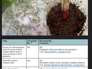 2023 green school app final (33)